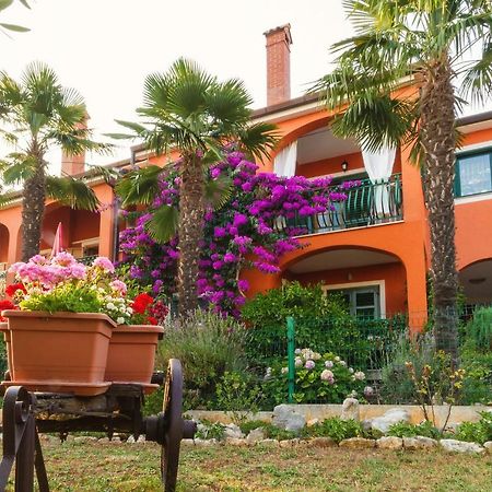 Apartments Mirjana Novigrad Istria Exteriör bild
