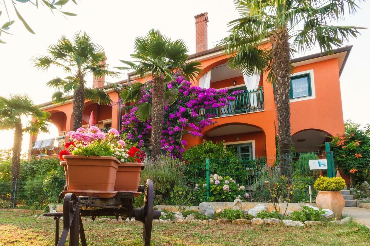 Apartments Mirjana Novigrad Istria Exteriör bild